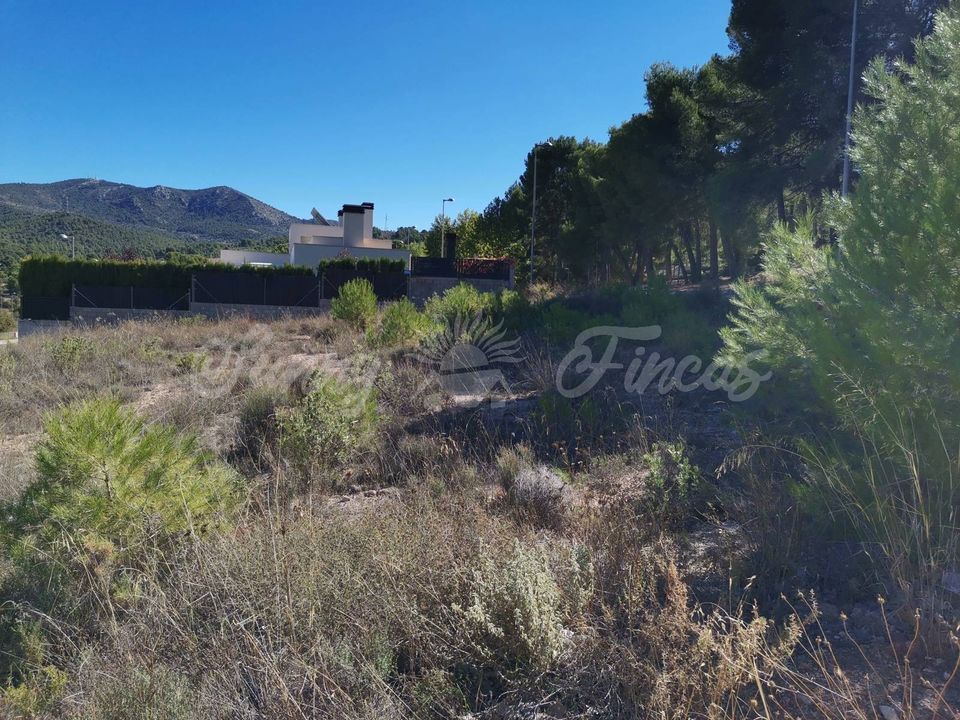 Helårsgrund i Biar, Alicante - foto 3